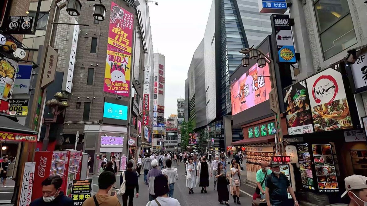 Trip to Japan. Tokyo part 2.