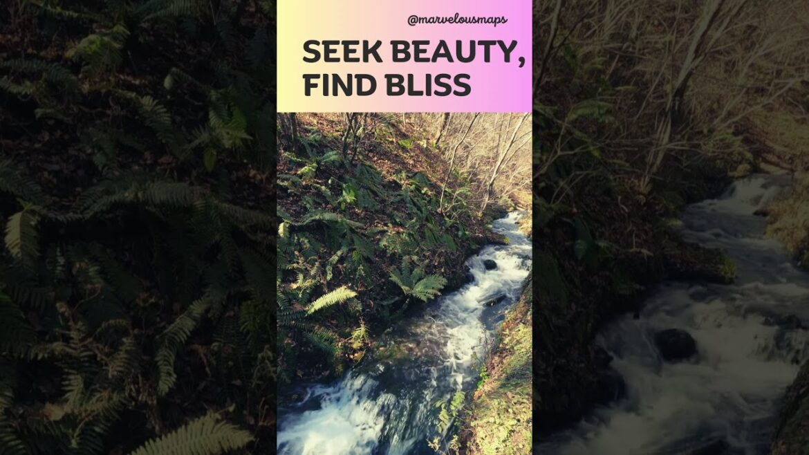 Japan travel | travel video | travel vlog | travel thirsty | travel video cinematic #shorts Japan travel | travel video | travel vlog | travel thirsty | travel video cinematic #shorts