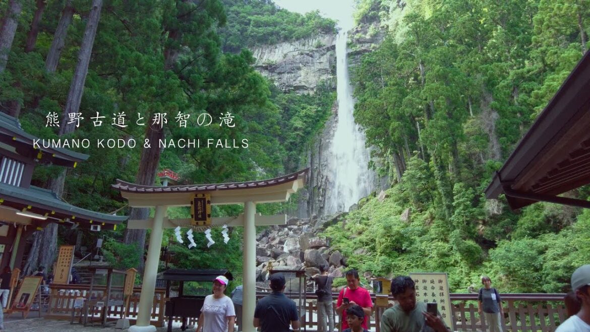熊野古道と那智の滝 : KUMANO KODO & NACHI FALLS ( Wakayama , Kansai , Japan ) 熊野古道と那智の滝 : KUMANO KODO & NACHI FALLS ( Wakayama , Kansai , Japan )