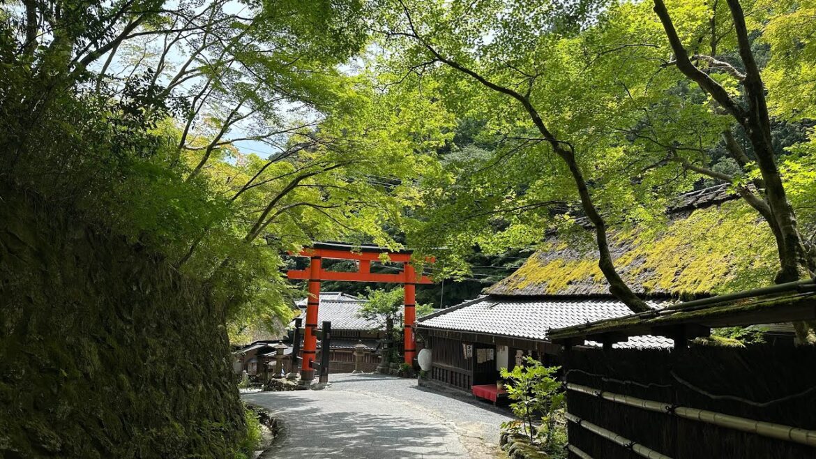 ARASHIYAMA Highlights TOUR, KYOTO JAPAN