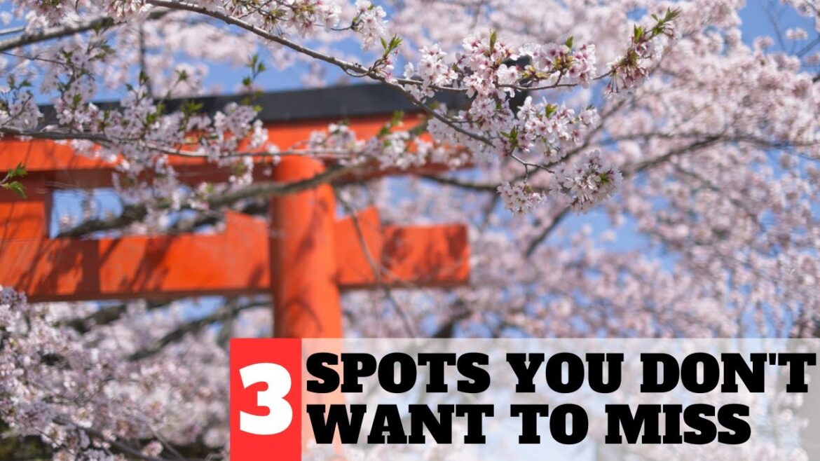 Kyoto Vlog : Discover Kyoto's Best-Kept Cherry Blossom Secrets - 3 Secret Spots You Can't Miss 🌸