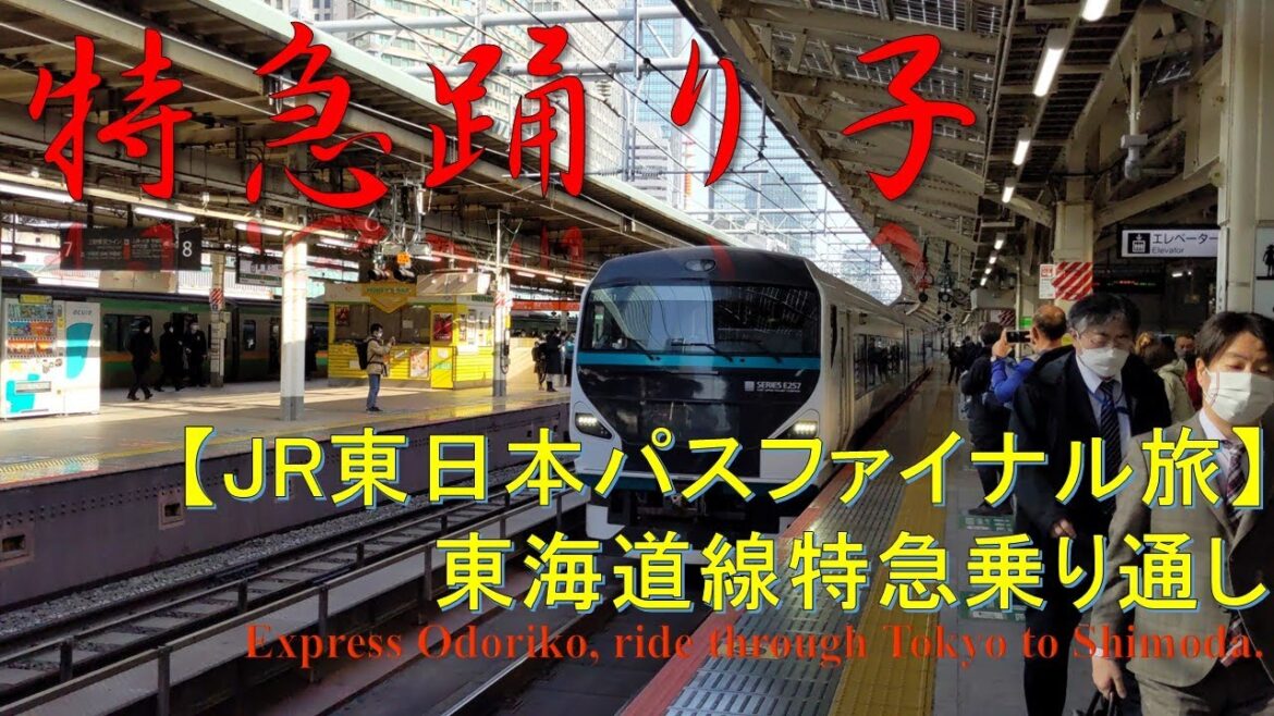 【JR東日本パスファイナル旅】特急踊り子乗り通し Ride through express Odoriko, Tokyo to Shimoda