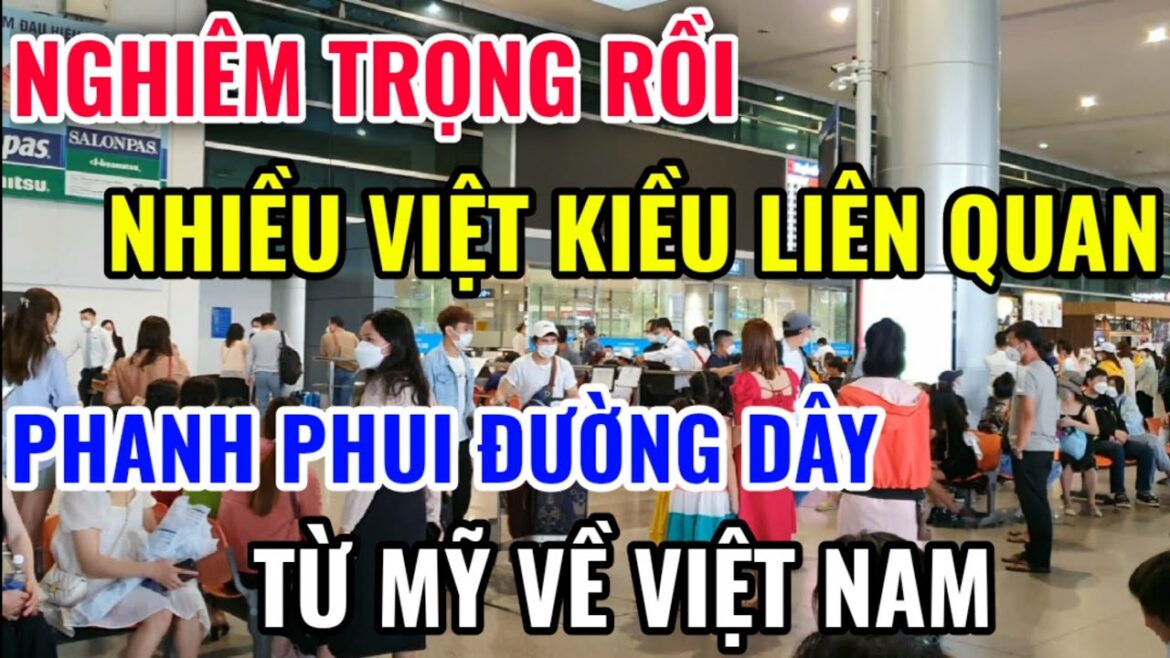 PHANH PHUI ĐƯỜNG DÂY LỪA ĐẢO LIÊN QUAN ĐẾN NHIỀU VIỆT KIỀU TỪ MỸ VỀ VIỆT NAM PHANH PHUI ĐƯỜNG DÂY LỪA ĐẢO LIÊN QUAN ĐẾN NHIỀU VIỆT KIỀU TỪ MỸ VỀ VIỆT NAM