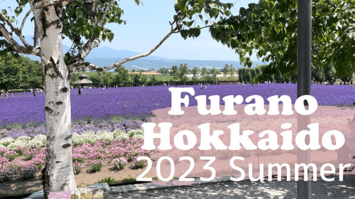 Beautiful Flower Garden in Furano Hokkaido