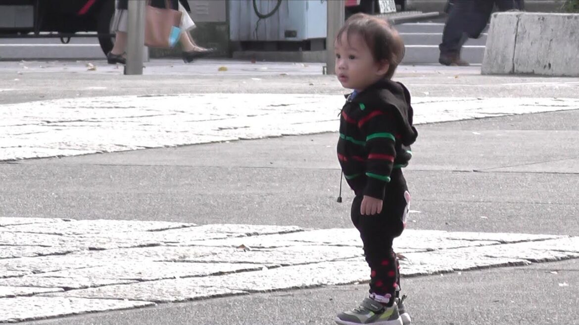 Nagoya, Japan | Daie's Train Ride, Playing with Birds, Science Museum, and  Ferris Wheel Experience.