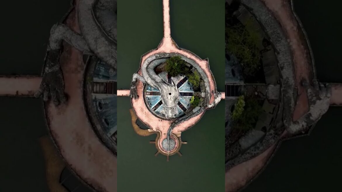 Cultural Extravaganza: Immersing in the Vibrant Streets of Tokyo #shorts #travel #bali #baliholiday