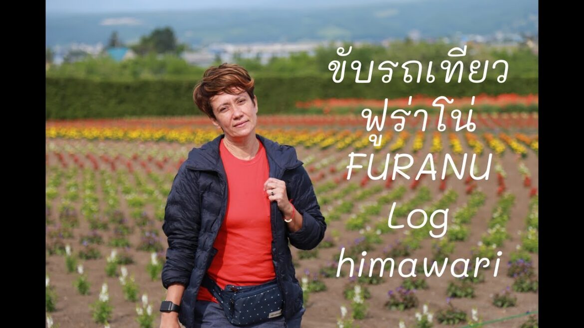 Furano เช่ารถที่ยวฟูร่าโน่กันเมืองน่ารัก รีวิวที่พัก Log himawari สุดชิค ชวนตัวเเตก โอ้เย้เบบี้