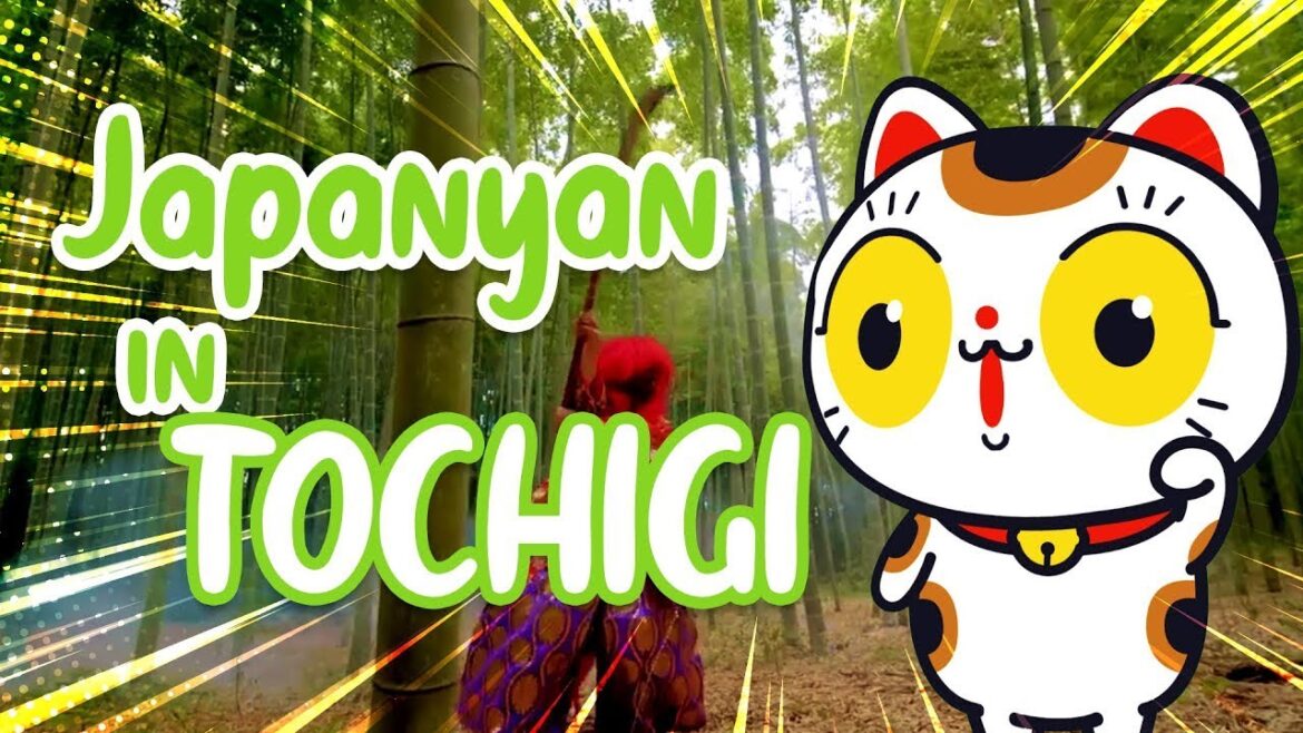 JAPANYAN IN TOCHIGI! JAPANYAN IN TOCHIGI!