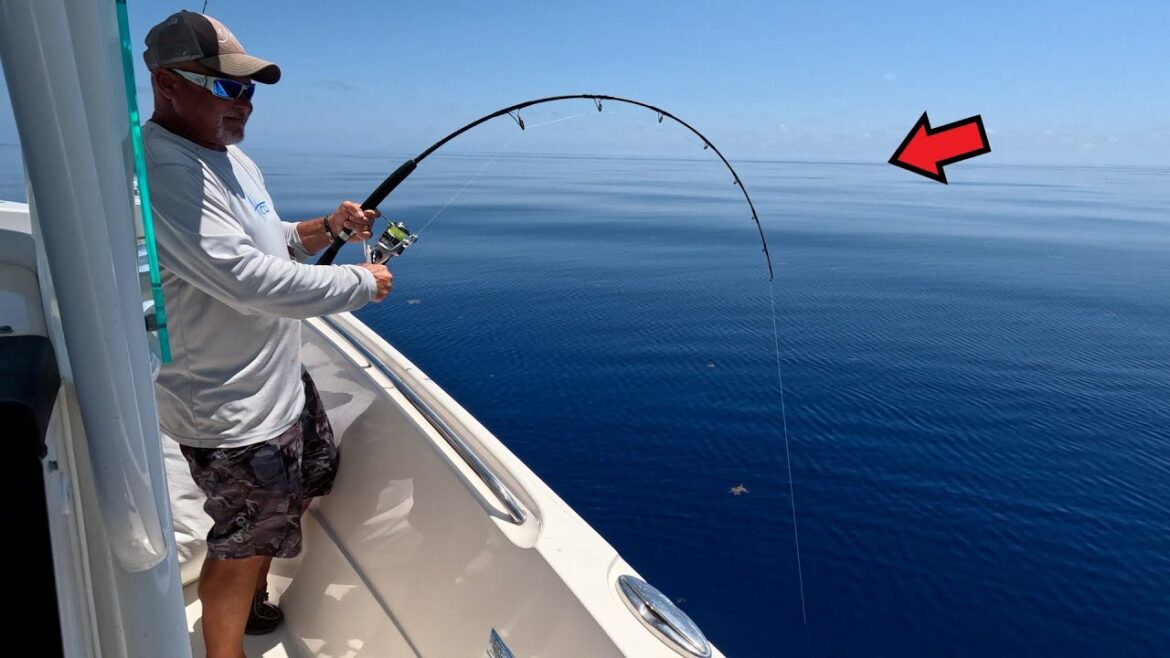 HEAT WAVE!! Florida Fishing The Reef For Whatever Bites HEAT WAVE!! Florida Fishing The Reef For Whatever Bites