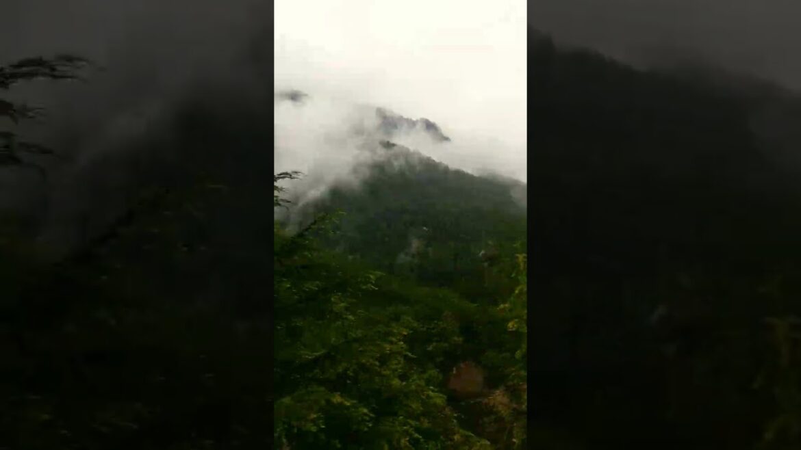 Fog Chal Rha Hai | This Is Beauty Of Mountain | Don't Suffer Delhi Smog | Enjoy This Beautiful View