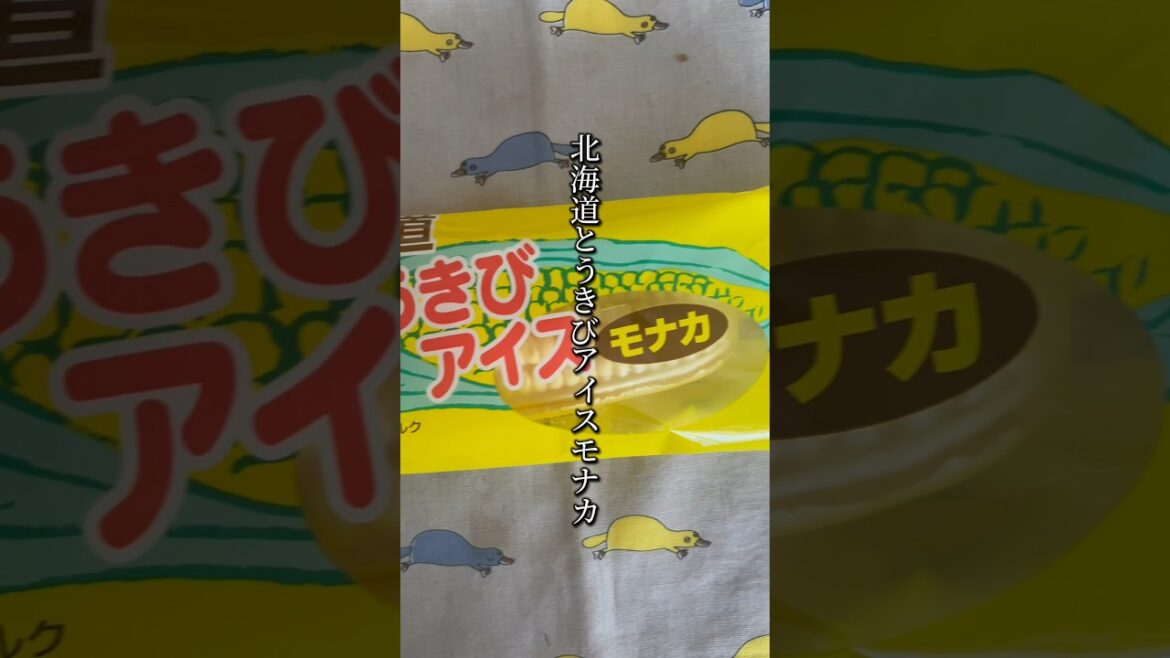 北海道とうきびアイスモナカ「一口食べた瞬間に香りが広がる」 #shorts