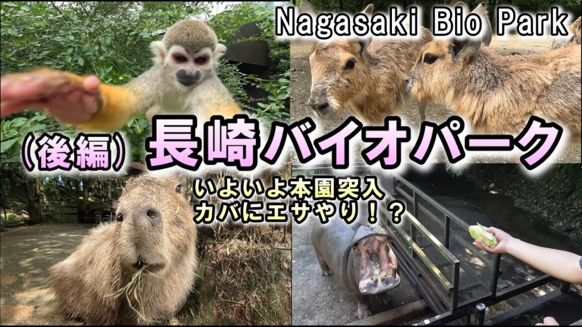 (後編)【長崎バイオパーク】本園で動物ふれあい。珍しいカバのエサやり体験も！