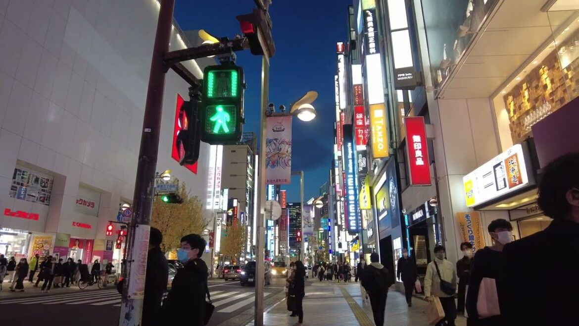 Shinjuku night South to East, Tokyo Walk around Shinjuku night South to East, Tokyo Walk around