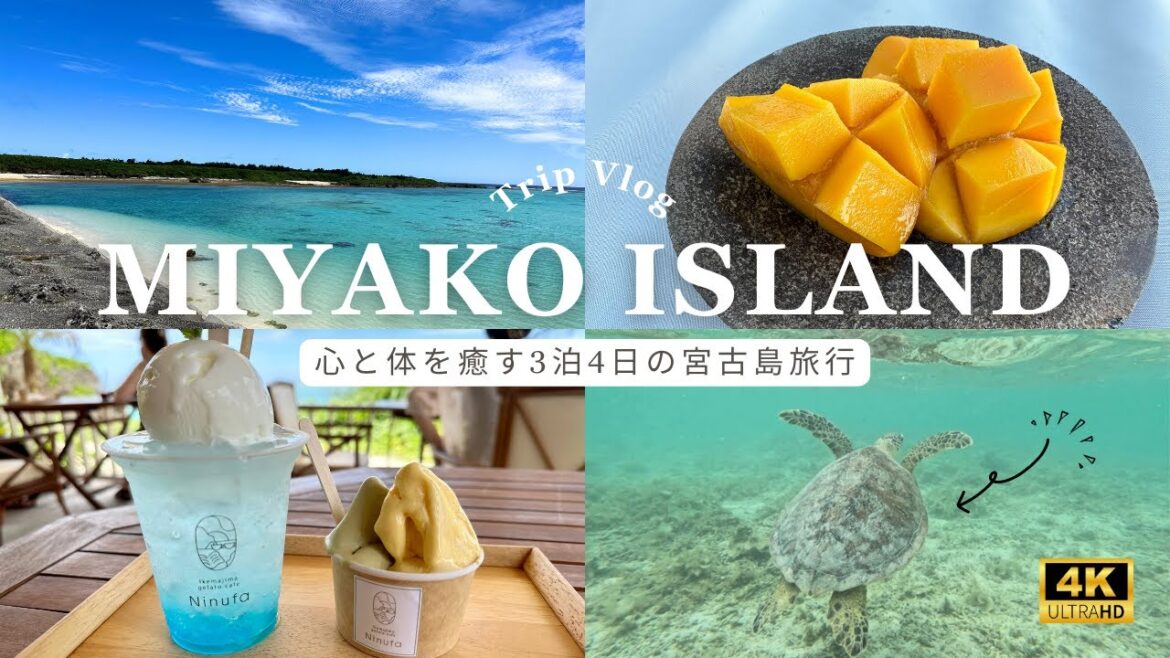 【旅行Vlog/4K】沖縄・宮古島で大人の夏休み|幻の島/絶景ビーチ/島カフェ/グルメ/シュノーケル/ホテルetc../Japan 4K 【旅行Vlog/4K】沖縄・宮古島で大人の夏休み|幻の島/絶景ビーチ/島カフェ/グルメ/シュノーケル/ホテルetc../Japan 4K