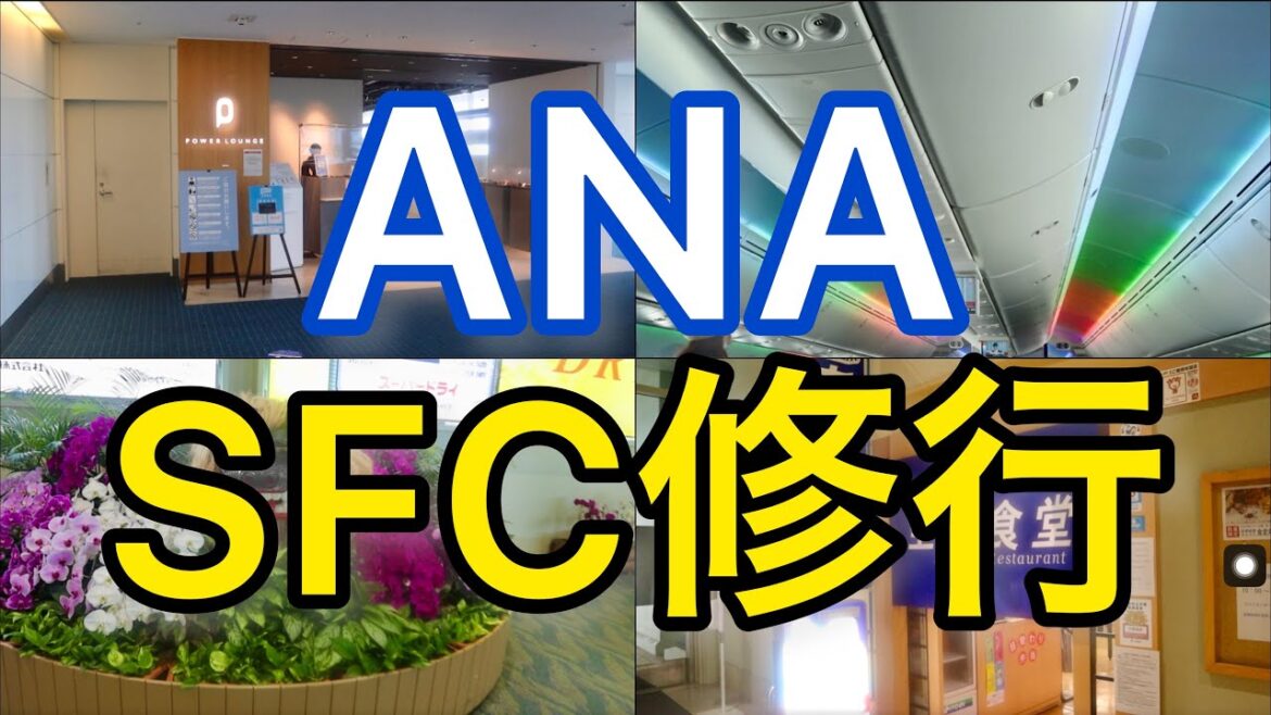 【SFC修行】人生で一度の連続搭乗 !ANA羽田空港「SFC修行 3日目」全8日airport 【SFC修行】人生で一度の連続搭乗 !ANA羽田空港「SFC修行 3日目」全8日airport