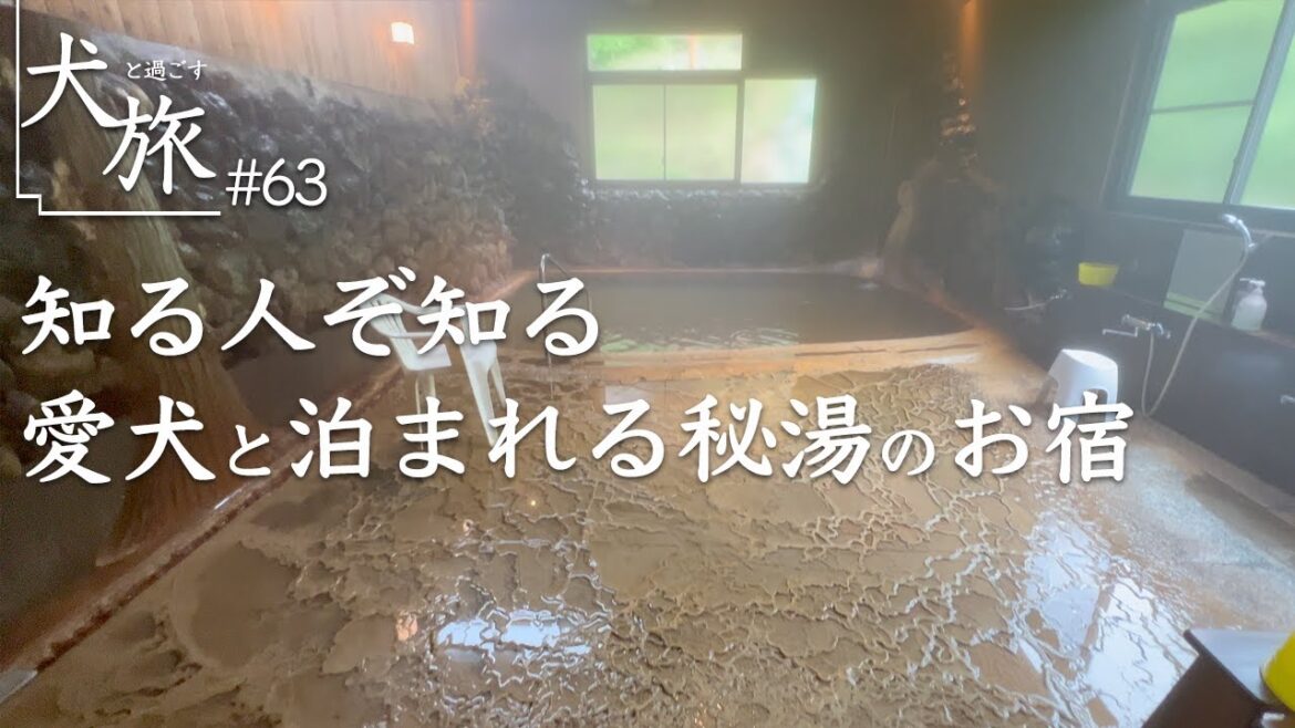 【知内温泉｜北海道】愛犬と泊まれる秘湯を持つ宿にて知内産の漁師めしに舌鼓