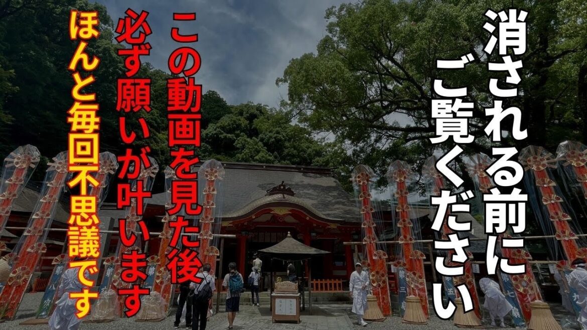もし逃したら2度とないです【那智の滝遠隔参拝】24時間後から嬉しく凄く良いことが次々と起きます!神様サインがすごい!最強パワースポット#japan #Wakayama もし逃したら2度とないです【那智の滝遠隔参拝】24時間後から嬉しく凄く良いことが次々と起きます!神様サインがすごい!最強パワースポット#japan #Wakayama