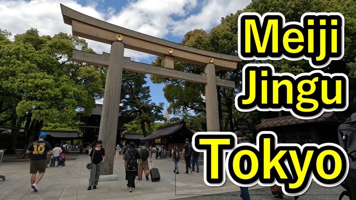 Tokyo Walk - Meiji Jingu,Shibuya City
