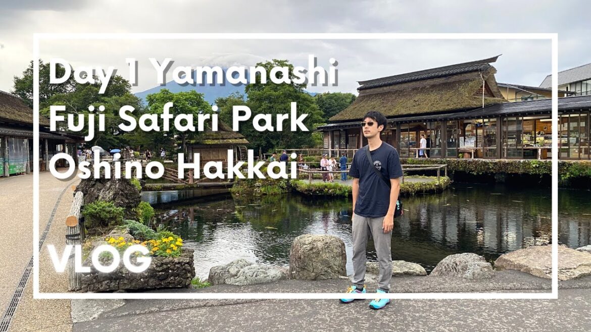 Day 1 Yamanashi Fuji Safari Park Oshino Hakkai, travel vlog day in my life in Japan