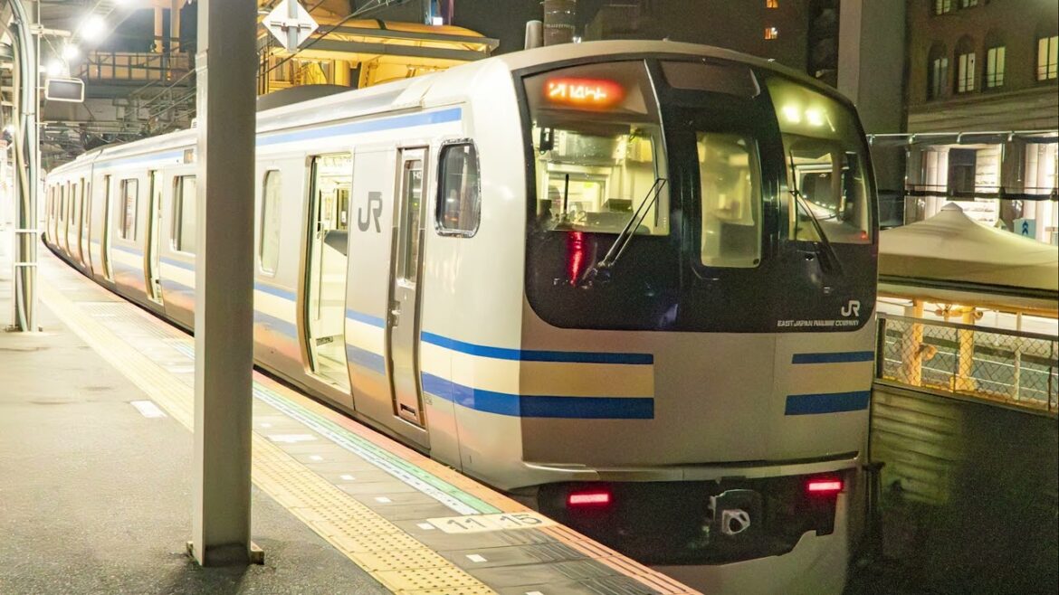 [Sound][2023 Jun Travel-06]E217 Tokyo to Chiba