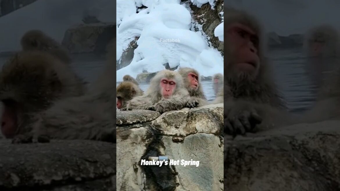 Best places to visit in Japan #explore #travel #adventure #nature #hiddengems #japan Best places to visit in Japan #explore #travel #adventure #nature #hiddengems #japan