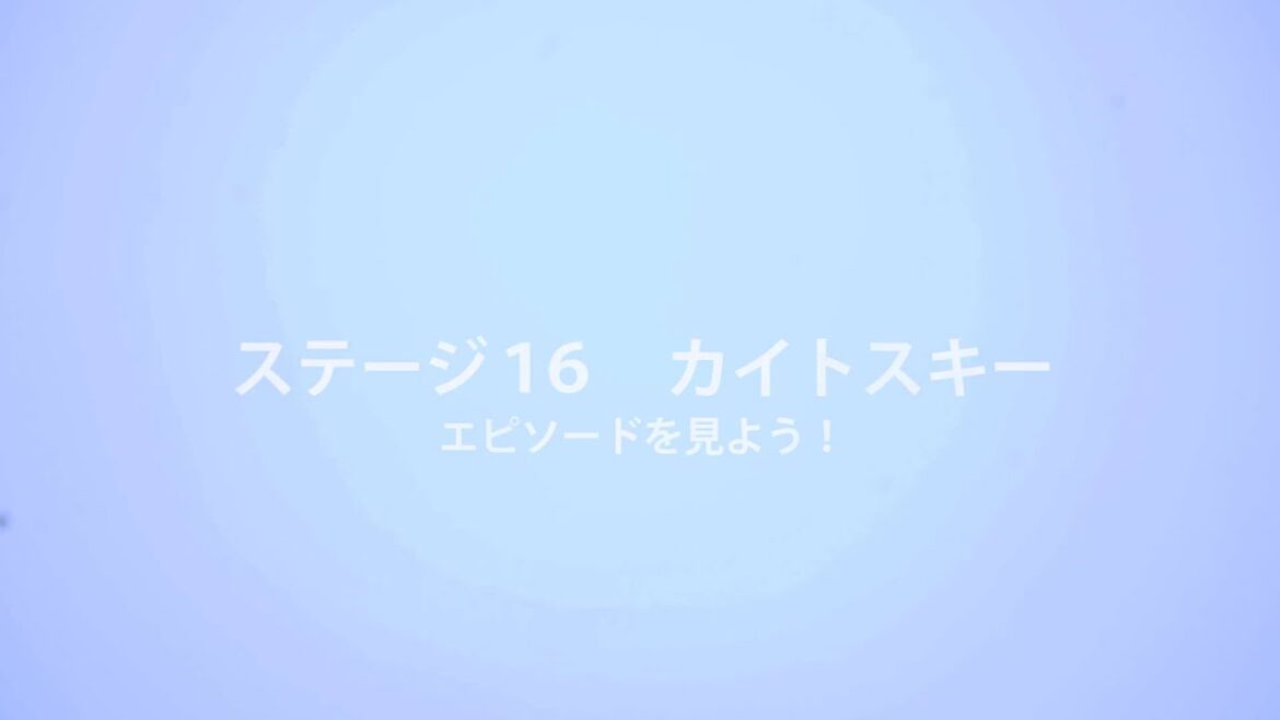 フィンランドの冬の魅力を探る探検旅行 - ステージ16　カイトスキー