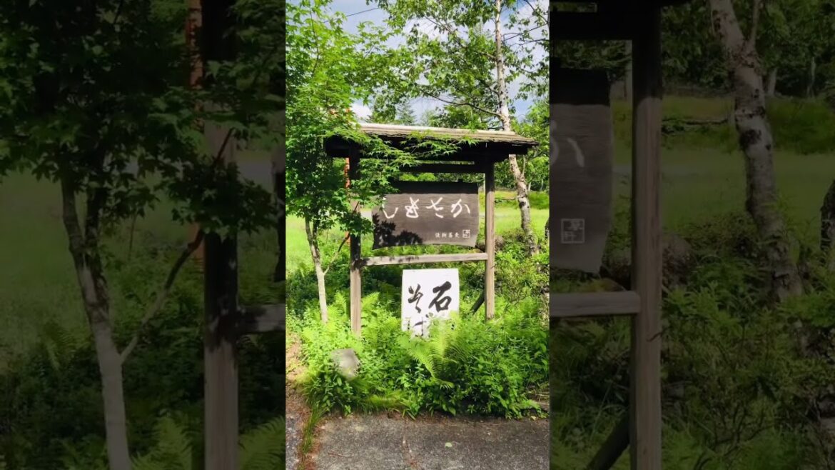 [Travel Japan] ~Japanese food is yummy while looking at the beautiful garden of Tateshina~