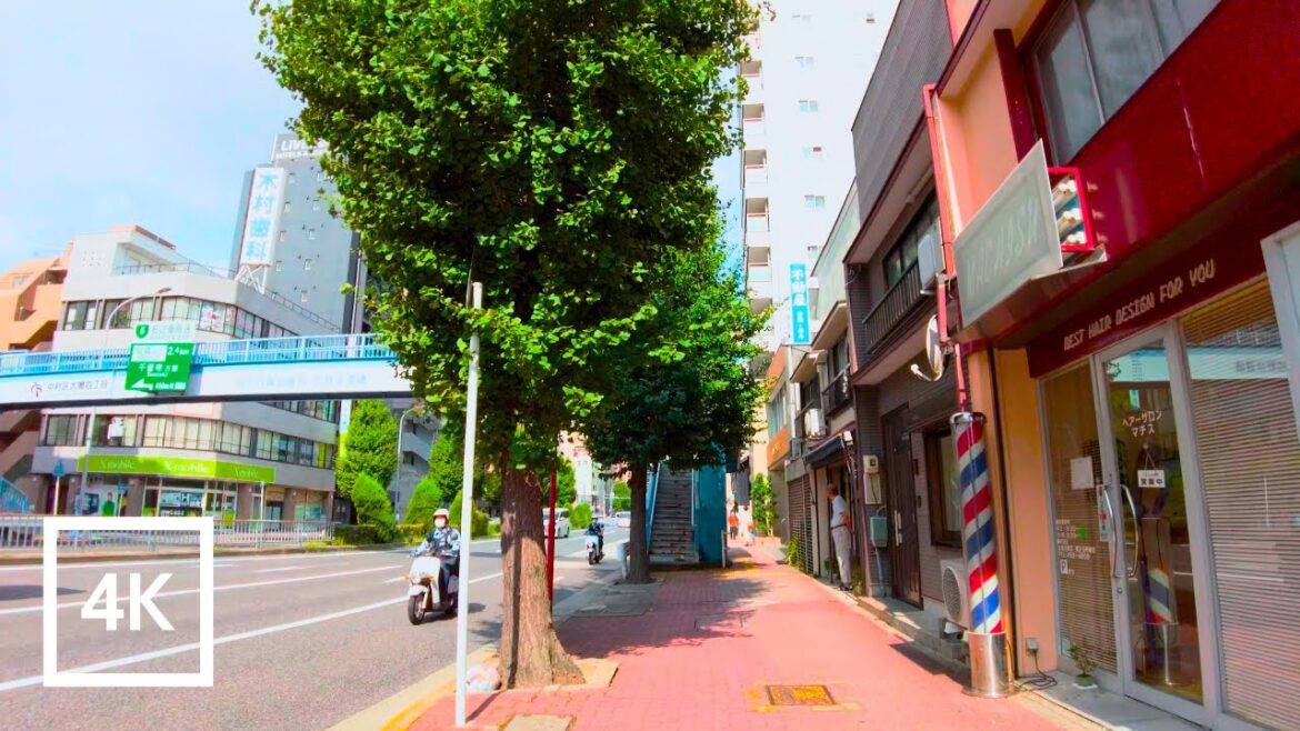 Japan 4K Walking Tour – Early morning walk in a quiet residential area west of Nagoya Station Japan 4K Walking Tour - Early morning walk in a quiet residential area west of Nagoya Station