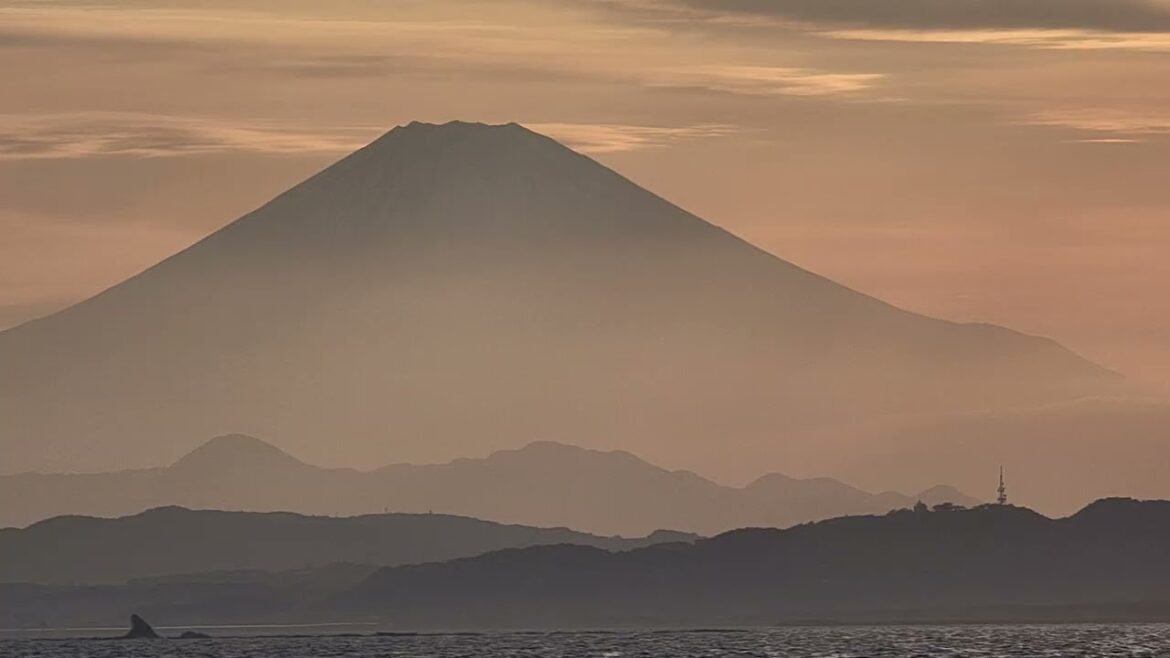 Yokohama, Japan in Spring Yokohama, Japan in Spring
