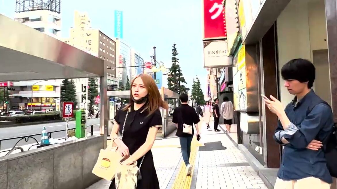 From Kabukicho to Shinjuku JR Station: A Visual Tour of Shinjuku