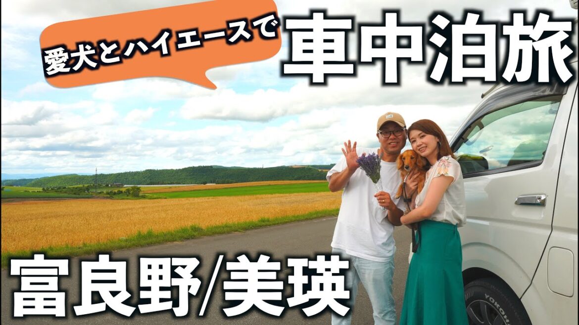 【北海道車中泊旅】夏の富良野と美瑛を愛犬とハイエースで巡る。期間限定の絶景は美しすぎた
