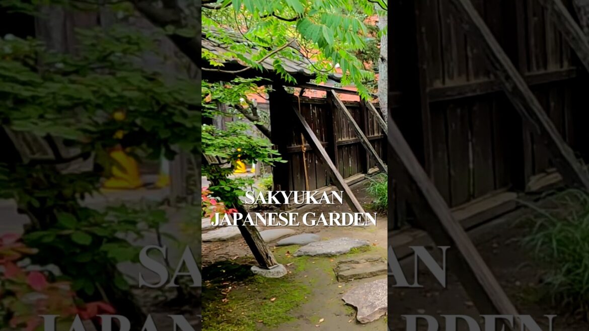 Japanese Garden decorated with black pines | SAKYUKAN