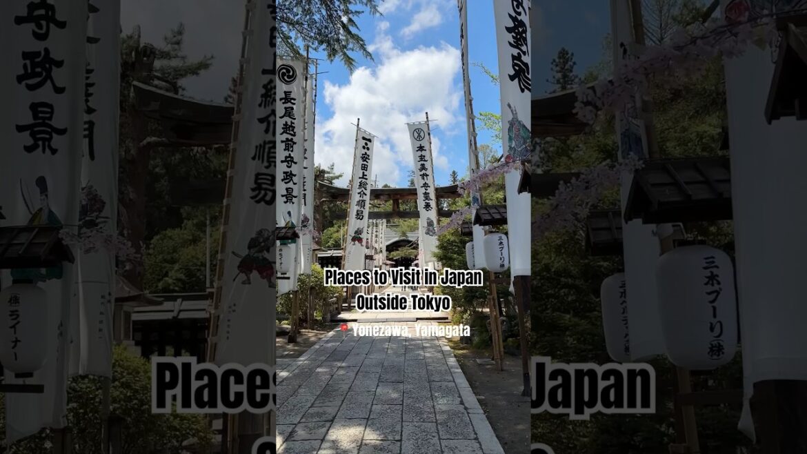 Travel with me to Yonezawa, Yamagata π―π΅ #japanvlog #travel #japantravel Travel with me to Yonezawa, Yamagata π―π΅ #japanvlog #travel #japantravel