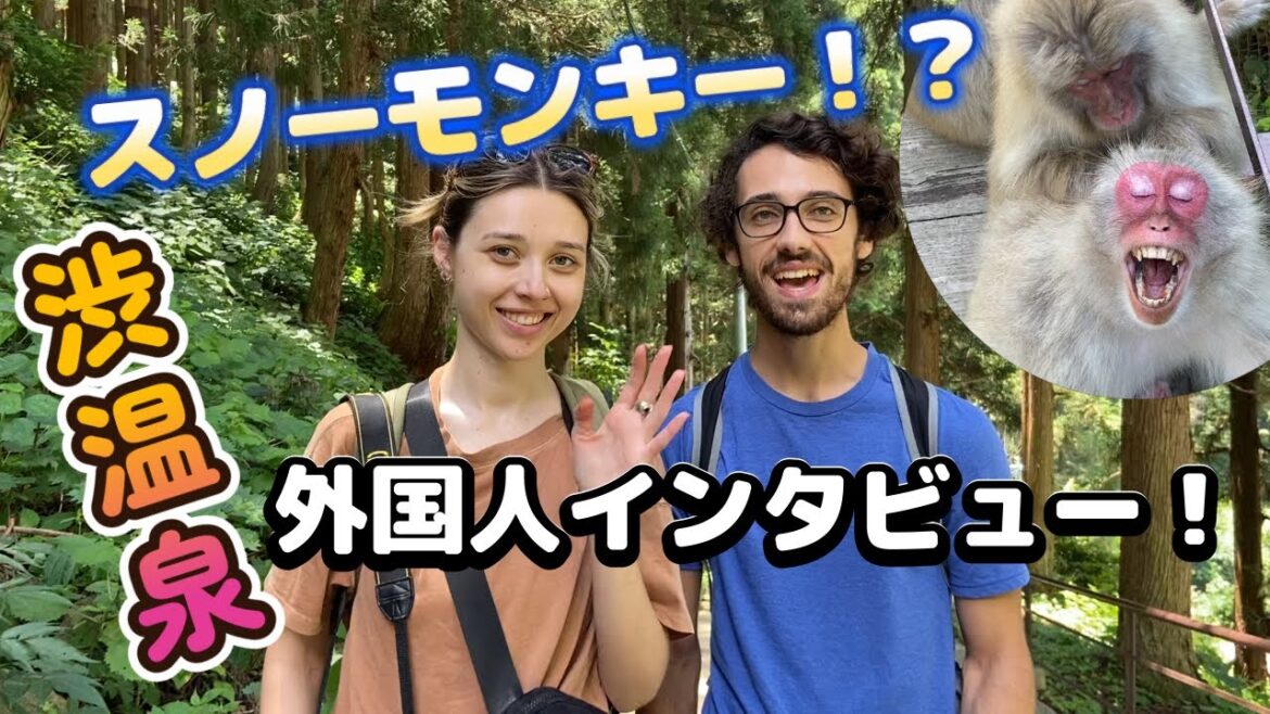 【外国人インタビュー】『You は何しに渋温泉へ❓』~スノーモンキーで有名な渋温泉で海外の反応を調査してみた~ 【外国人インタビュー】『You は何しに渋温泉へ❓』~スノーモンキーで有名な渋温泉で海外の反応を調査してみた~