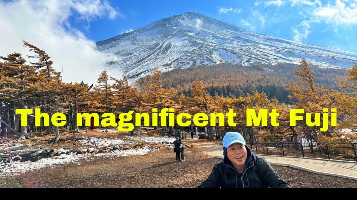 Japan Travel 2023 Tips – The Day We Saw Mt Fuji - Part 2