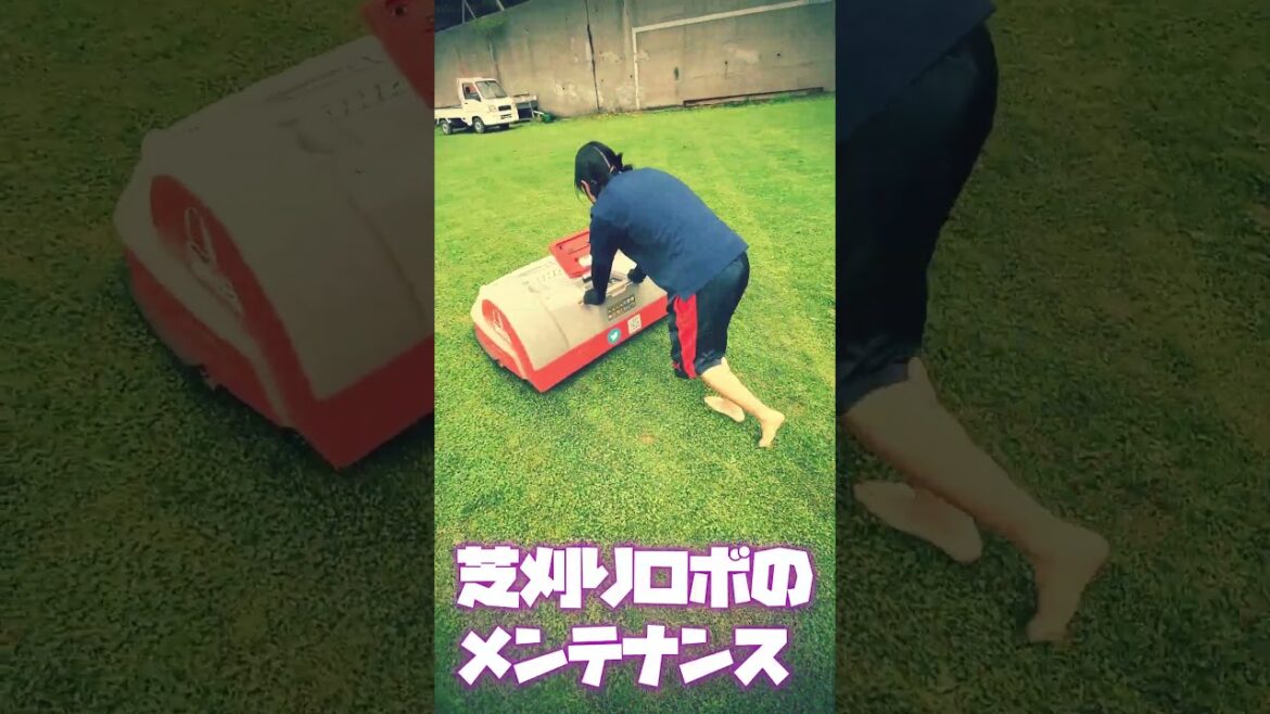 看板娘と夏の準備