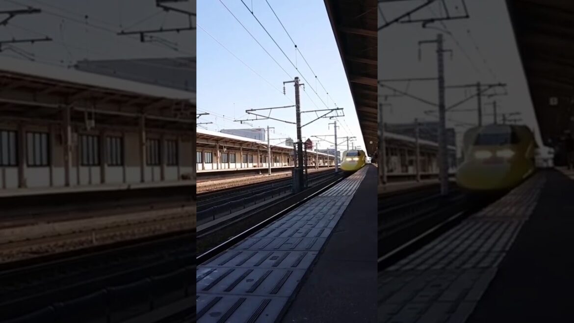 Japan high speed shinkansen bullet train #shorts