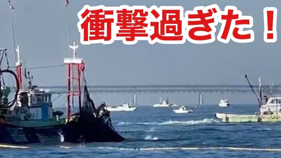 【衝撃映像】目の前で海面爆発!?青物こんなに居たの?驚き尽くしのショアジギング 【衝撃映像】目の前で海面爆発!?青物こんなに居たの?驚き尽くしのショアジギング