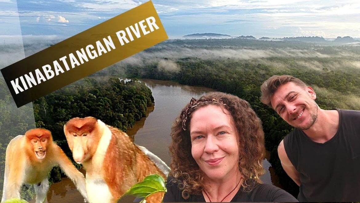 KINABATANGAN RIVER, Where to stay for a bucket list jungle experience? - Backpacking Borneo (7 of 9)