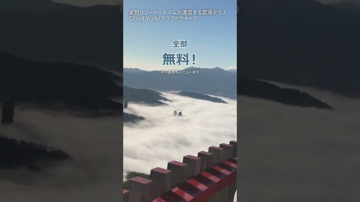 【サービス凄すぎる】一日じゃ絶対足りない！ずっと遊べるオシャレホテル／たびらい北海道