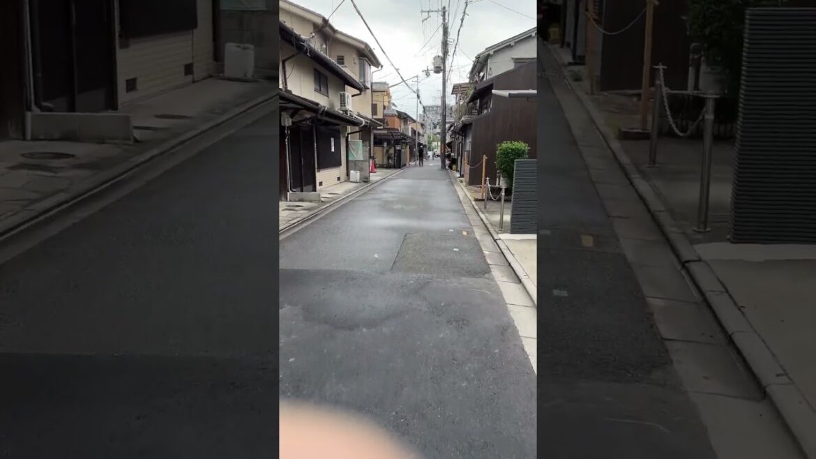 Japan Walk in Motozushicho Kamigyo Ward in #Kyoto #元図子町 #walkingtour #japanwalkingtour Japan Walk in Motozushicho Kamigyo Ward in #Kyoto #元図子町 #walkingtour #japanwalkingtour