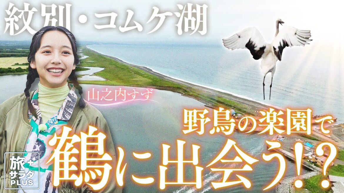 【山之内すずin北海道・紋別】野鳥の楽園・コムケ湖へ!大自然をドライブ!〈ロコレコ!〉 【山之内すずin北海道・紋別】野鳥の楽園・コムケ湖へ!大自然をドライブ!〈ロコレコ!〉