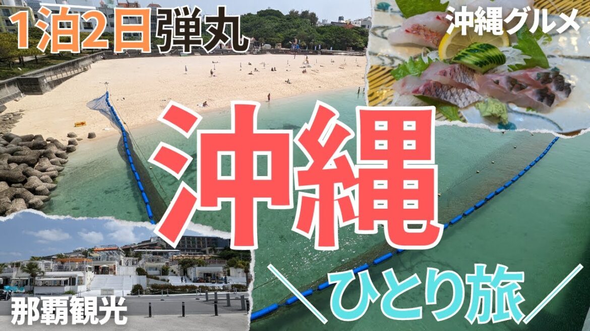 【独身男のひとり旅】初めて沖縄でひとり旅してきたヨ。那覇観光&沖縄グルメ【1泊2日】 【独身男のひとり旅】初めて沖縄でひとり旅してきたヨ。那覇観光&沖縄グルメ【1泊2日】