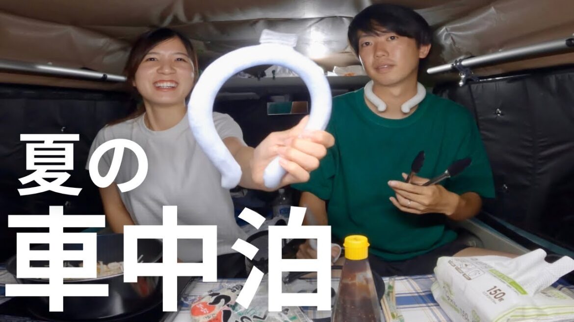 【夏の車中泊】暑さ対策どうしてますか? 【夏の車中泊】暑さ対策どうしてますか?
