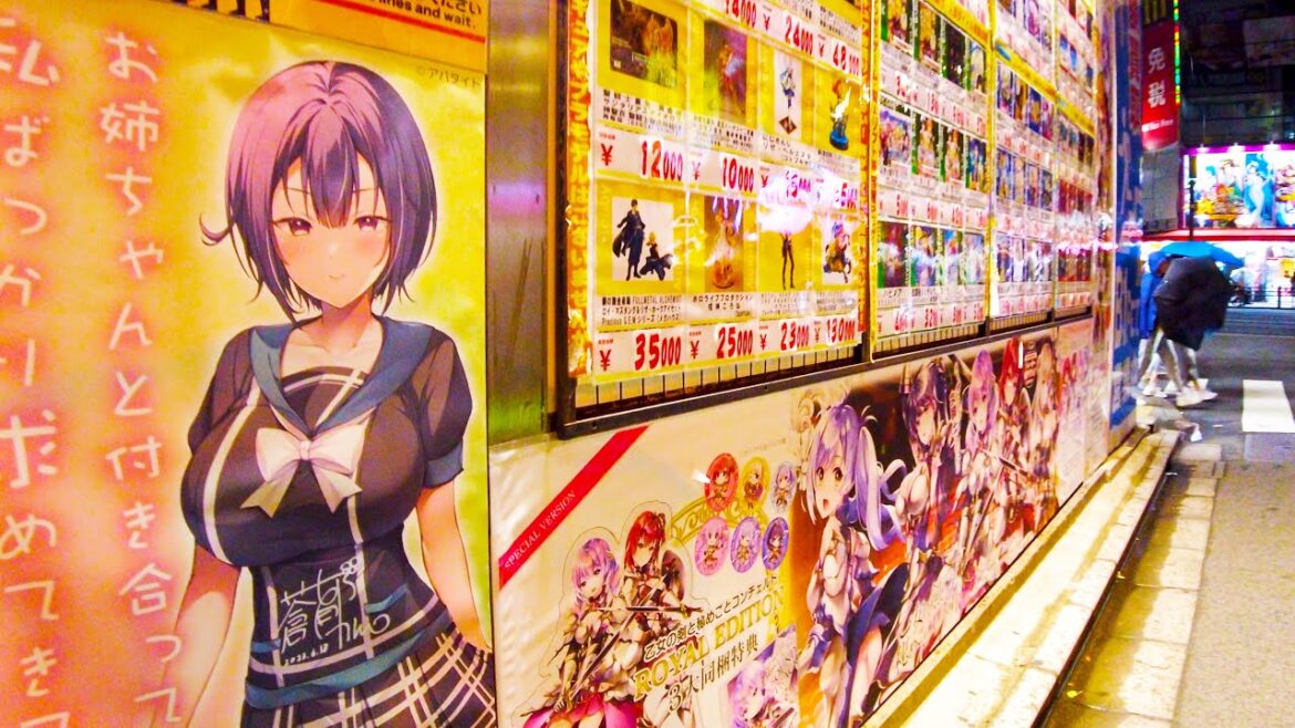 Akihabara in Tokyo 🐶🍻Night Anime Expedition♪💖4K ASMR non-stop 1 hour 03 minutes