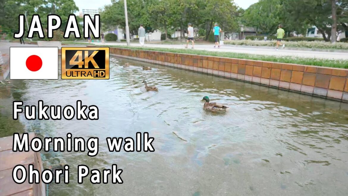 Japan Fukuoka Morning walk (Ohori Park)
