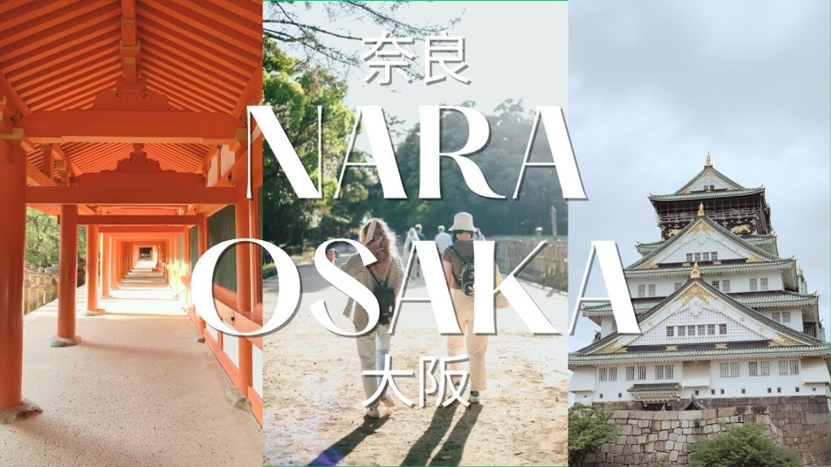 japan diaries 🇯🇵: nara & osaka (deers, food & temples)