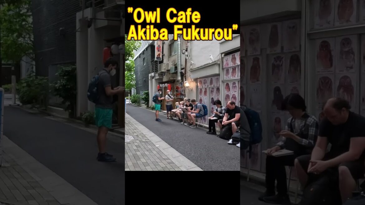 2023 Akihabara Latest Trends