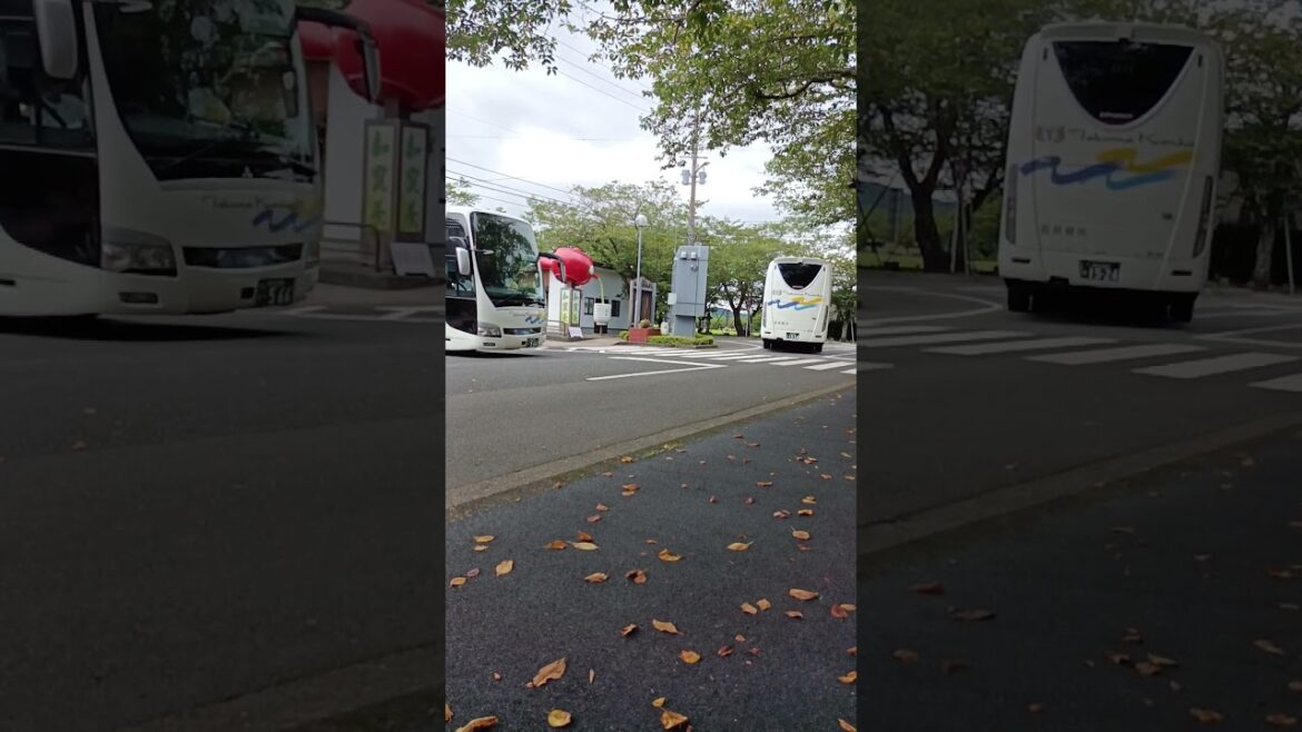 詫麻観光バス2台,ツアーで知覧を走った其の2🚌南九州市知覧町特攻平和公園🚍2023年7月24日Takuma sightseeing buses ran through Chiran on a tour