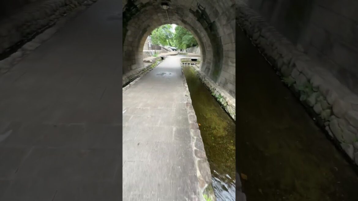 Japan Walk along Horikawa in #Kyoto #堀川 #walkingtour #japanwalkingtour Japan Walk along Horikawa in #Kyoto #堀川 #walkingtour #japanwalkingtour
